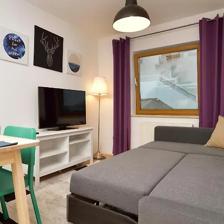 New Mountain Lux Appartement *